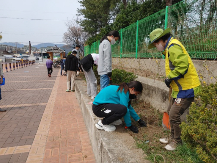 경주 계림초 무궁화 식재