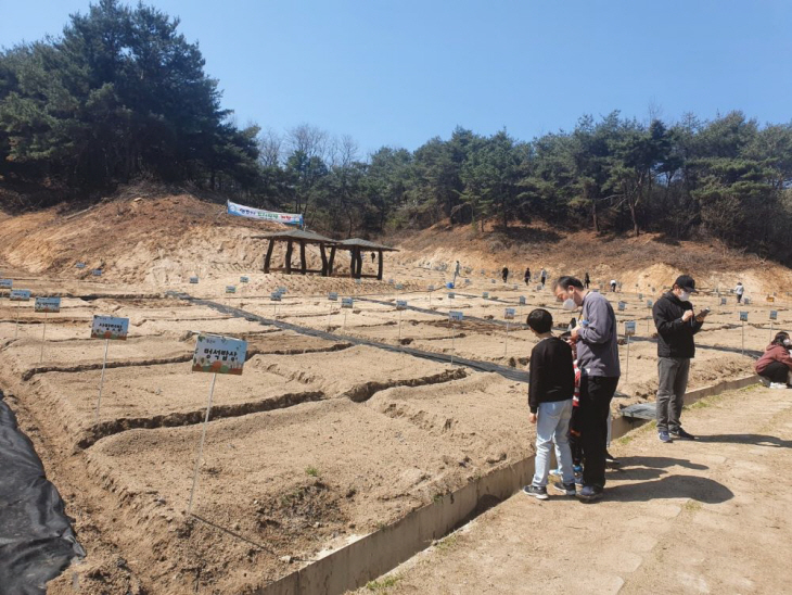 수확의 기쁨 맛보는 ‘도시텃밭’ 개장