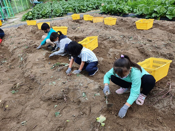 포천시, 2022년 학교4-H회 과제활동 지원사업 진행