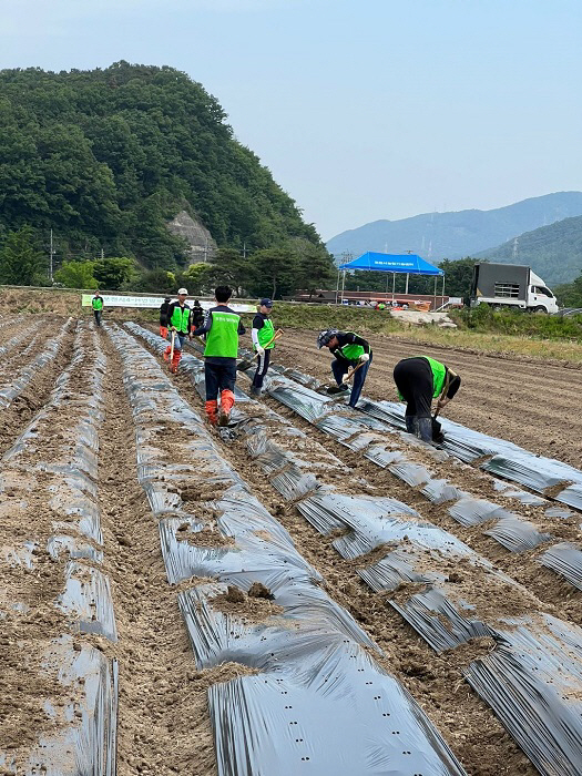 포천시 4-H연합회, 2022년 공동학습포 운영