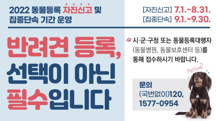 동물등록 자진신고 웹배너