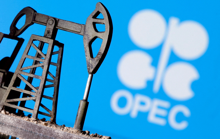 OIL-OPEC/OUTLOOK