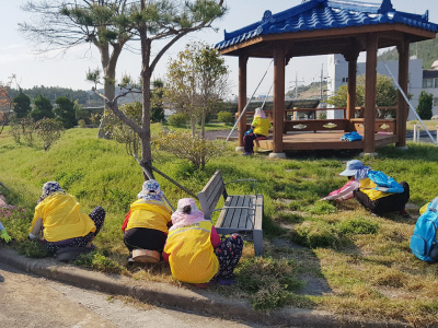 노인일자리 사진. 제공=신안군