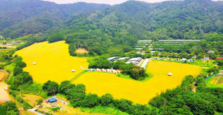 도시청년시골파견제 청년창업기업 “하늘목장”