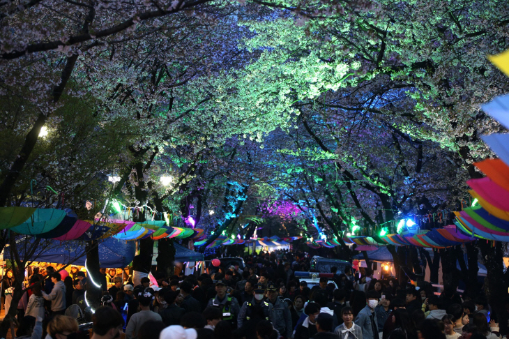 부천 도당산 벚꽃축제