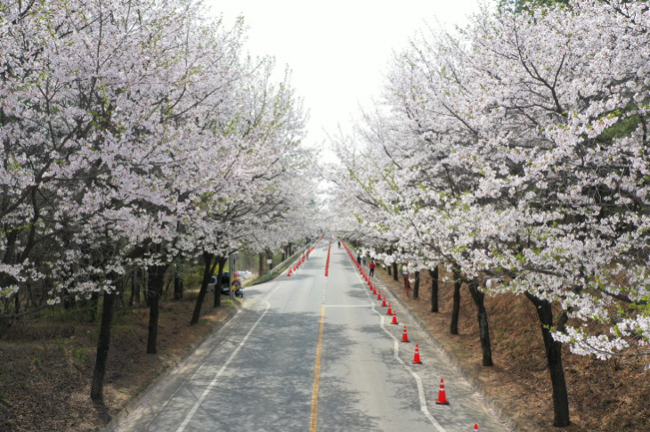 [크기변환]여강길 4