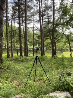 인제 힐링하길 소나무숲길 피톤치드 측정