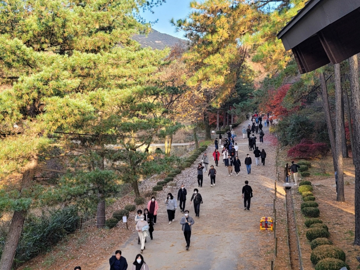 안양시 서울대 관악수목원 가을 정취