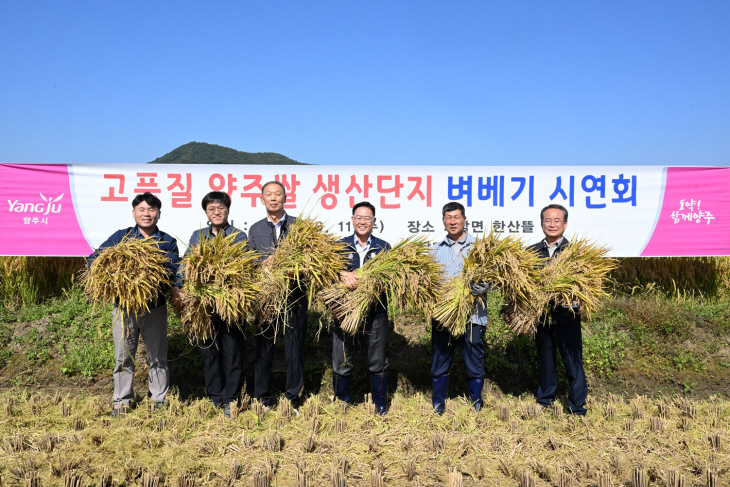 강수현 양주시장 11일 남면 한산뜰 벼 베기 참여