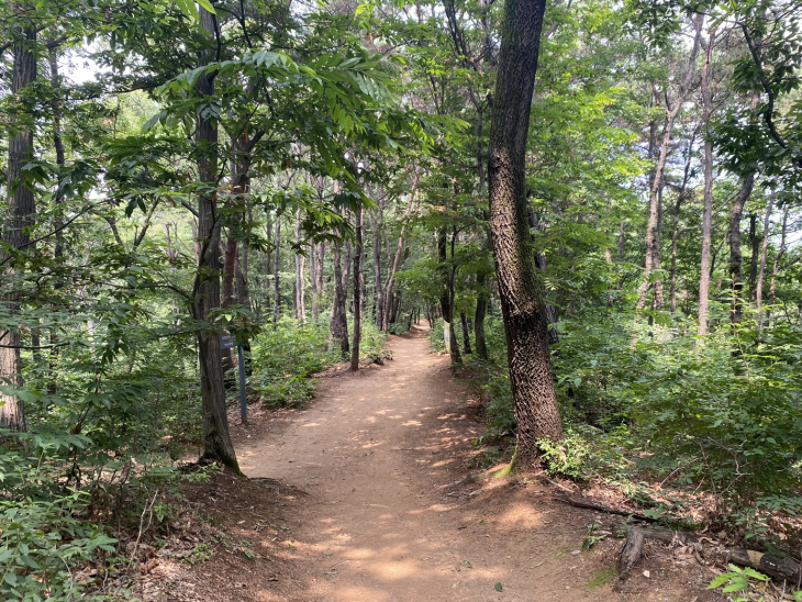 김포시 모담공원 숲길