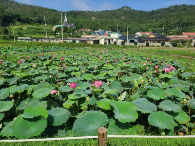 친환경세제 보급 (3) (1)