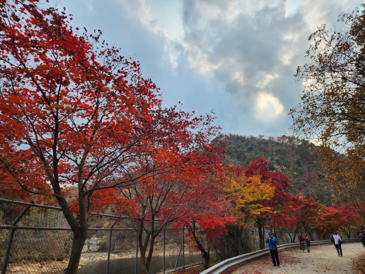 안양 서울대관악수목원