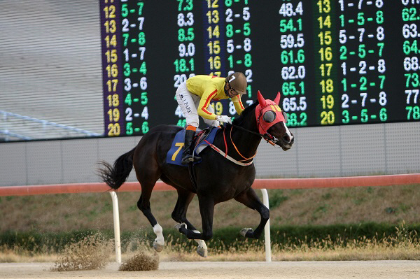 렛츠런파크 부산경남, 10일 시리즈 최종전 ‘브리더스컵 루키 &