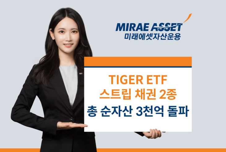 TIGER 스트립 2종 순자산 3000억 돌파_사진