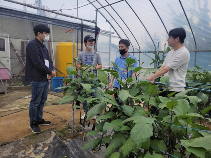 김포시 맞춤형 소득작물 육성 시범사업 현장