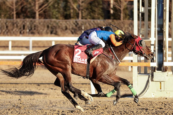 렛츠런파크 부산경남, 29일 ‘2023 부산경남 연도대표’ 시상