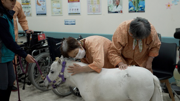 렛츠런파크 부산경남, ‘馬과 사람이 모두 행복한 세상’ 사회