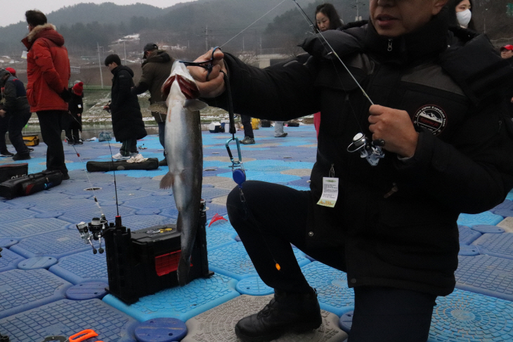 꽁꽁축제, 부교낚시3