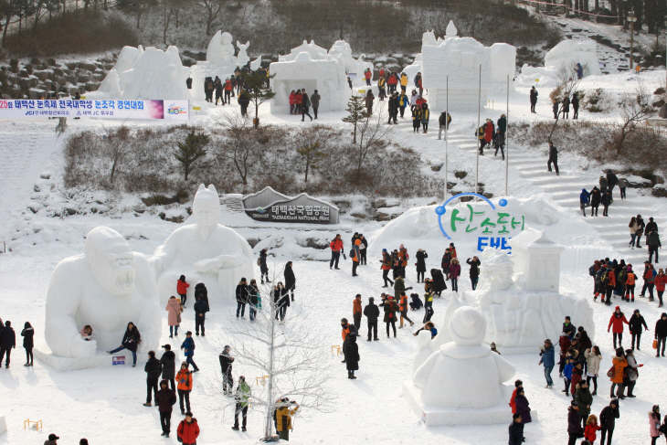 태백 눈축제