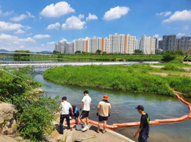 2023년 8월 남양주 식용유공장 왕숙천 기름유출 방제작업