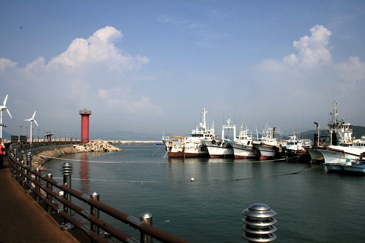 충남 보령항