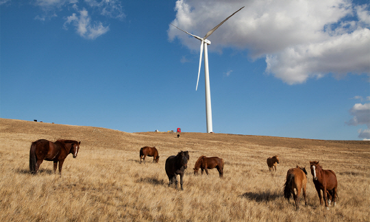 Salkhit wind farm