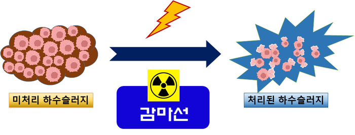 하수슬러지 감마선 분해