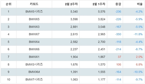 랭키파이 BMW 선호 차종 트렌드 지수 분석 데이터