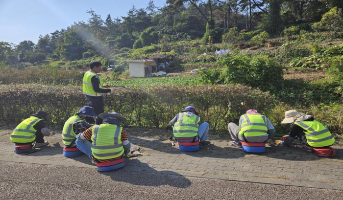 전남도