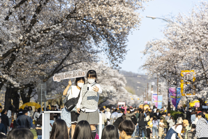 안동시  풍성한 봄축제로 도시를 물들인다