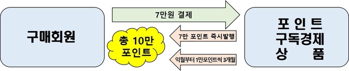 포인트 구독경제 상품 개념도