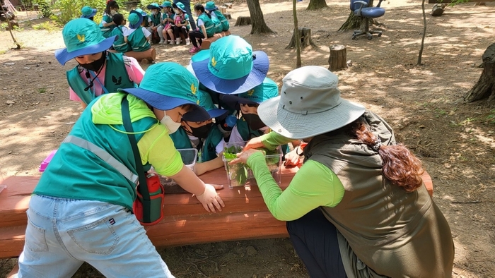 시흥시 소래산놀자숲 숲체험 프로그램