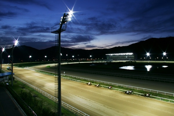 축제 같은 '렛츠런파크 부산경남' 봄밤