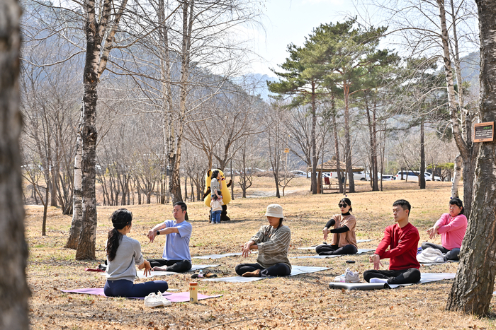 동강할미꽃축제