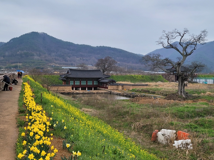 강진군