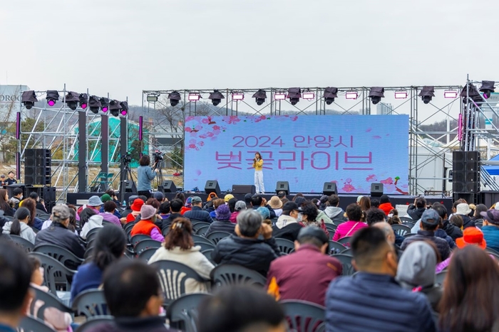 30일 2024년 안양충훈벚꽃축제 벚꽃라이브 공연