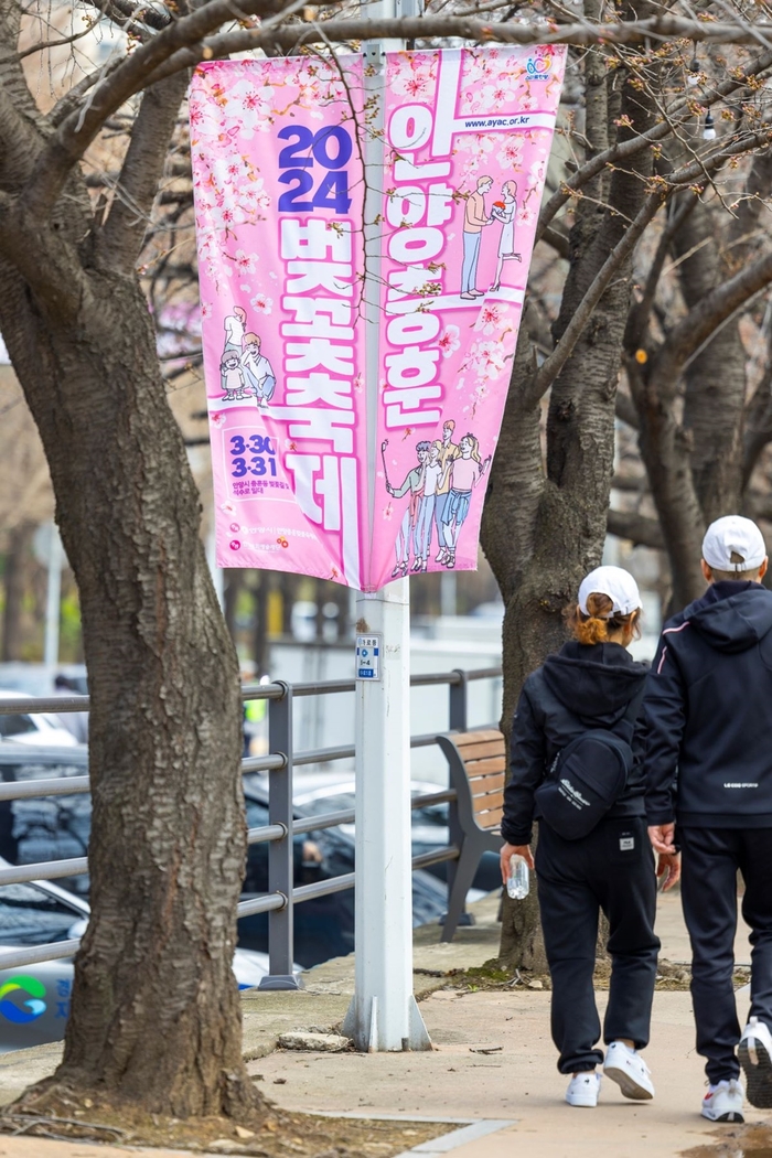 30일 2024년 안양충훈벚꽃축제 산책길