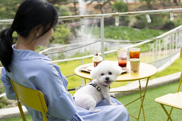 김포시 반려동물 자료