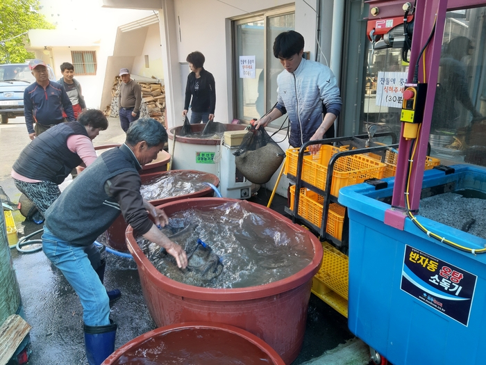 곡성군