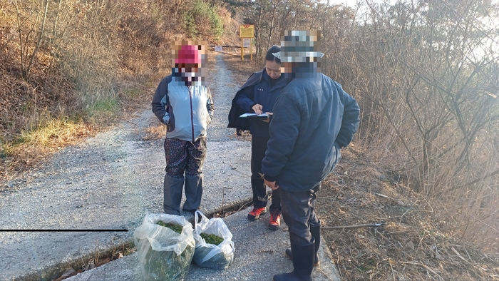 입산통제구역 무단입산 및 임산물채취단속