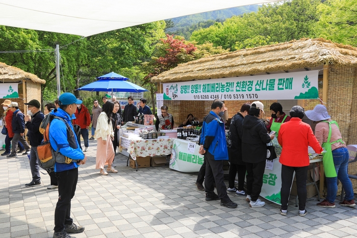 2023년 제13회 양평용문산 산나물 축제 현장