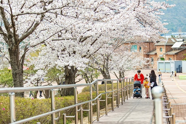 “벚꽃엔딩 아쉽다면 렛츠런파크 부산경남으로 오세요