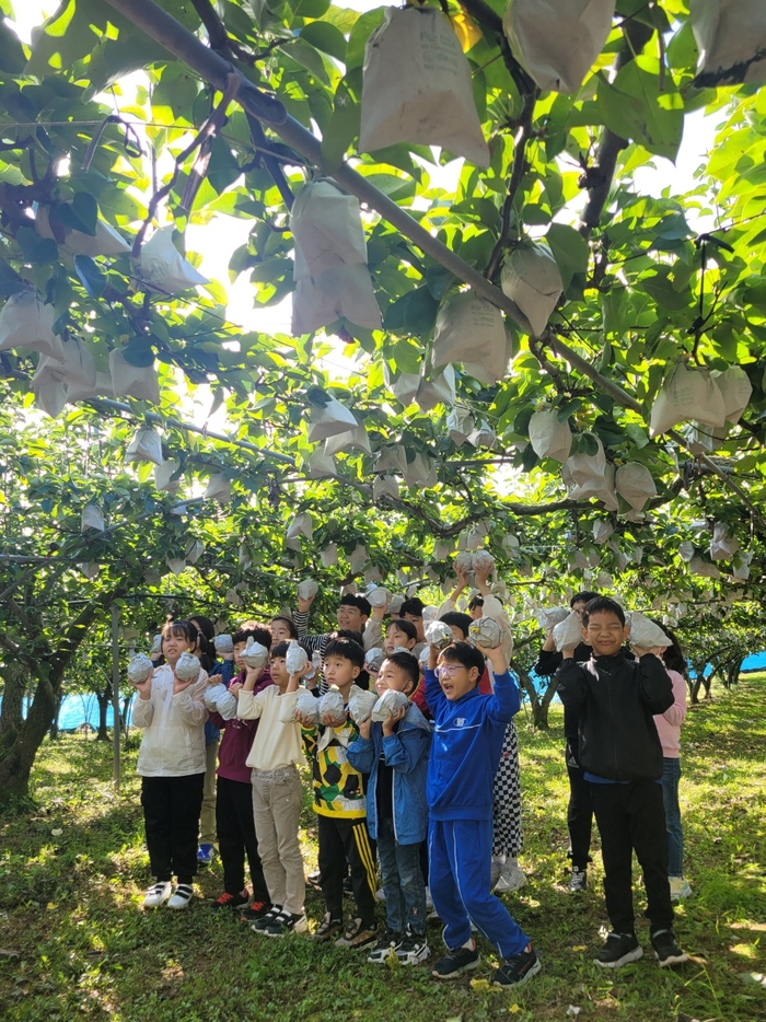 전남도