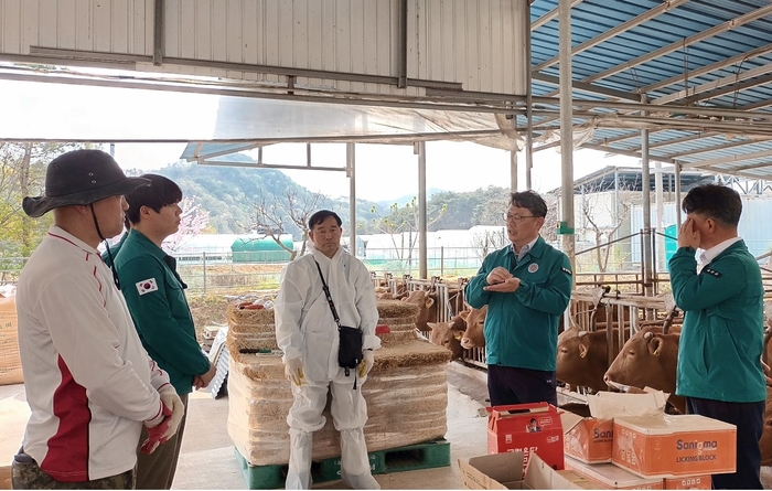 럼피스킨 백신 접종 예천농장방문