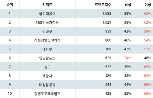 랭키파이 트렌드 지수 분석 데이터