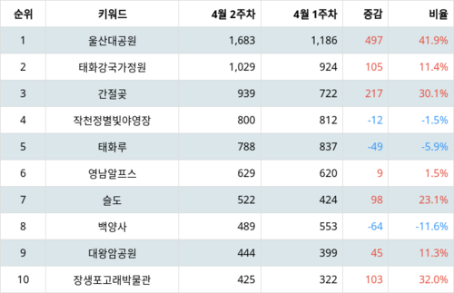 랭키파이 트렌드 지수 분석 데이터