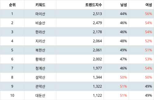 랭키파이 트렌드 지수 분석 데이터