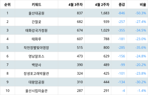 랭키파이 트렌드 지수 분석 데이터