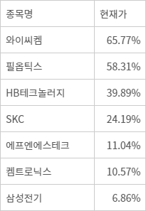 유리기판 관련주 누적 상승률