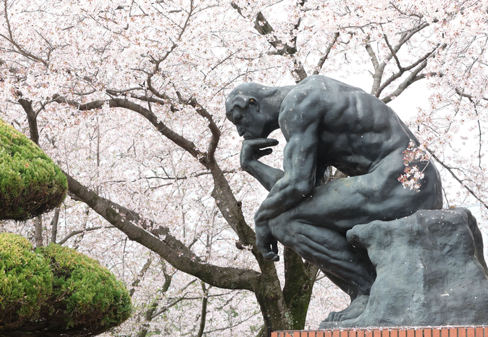 경남 창원시 창원대학교 한 조각상 뒤로 벚꽃이 핀 모습.연합뉴스